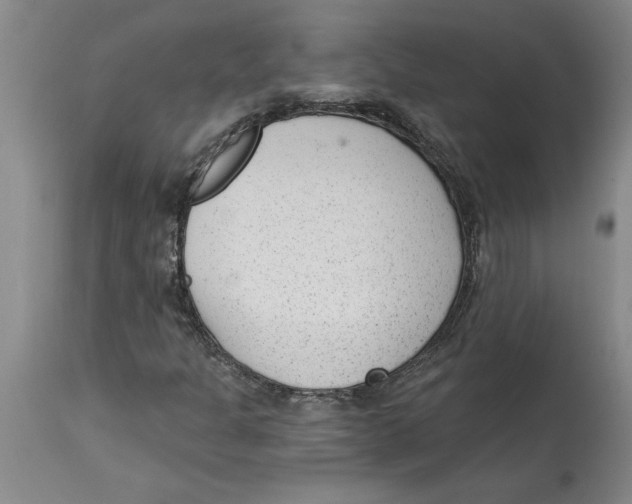 X0000114691301200911181244