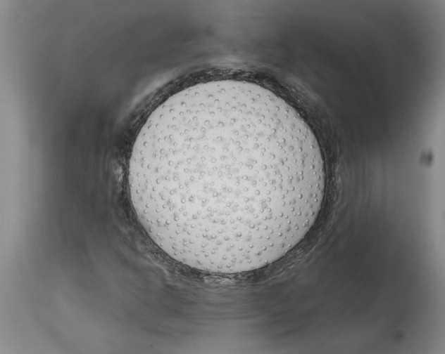 X0000114691302200911181244