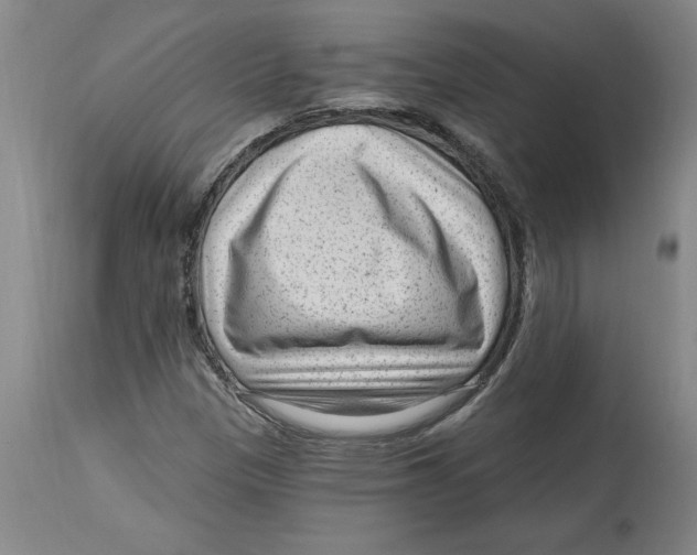 X0000114691305200911181244