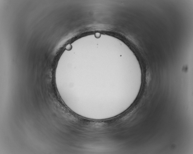 X0000114691309200911181244