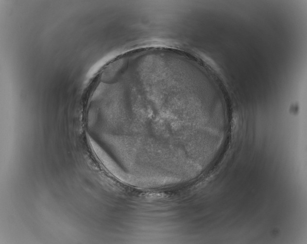 X0000114691310200911181244