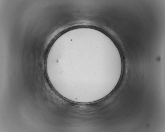 X0000114691318200911181244