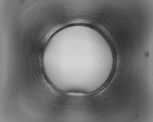 X0000114691321200911181244