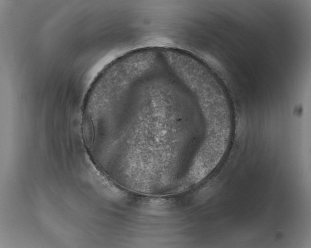 X0000114691326200911181245