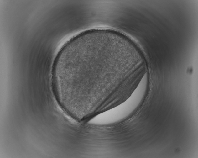 X0000114691327200911181245