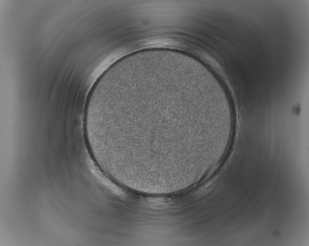 X0000114691330200911181245