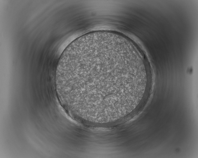 X0000114691337200911181245