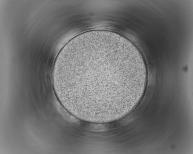 X0000114691338200911181245