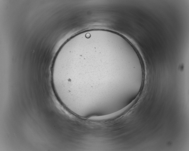 X0000114691341200911181245