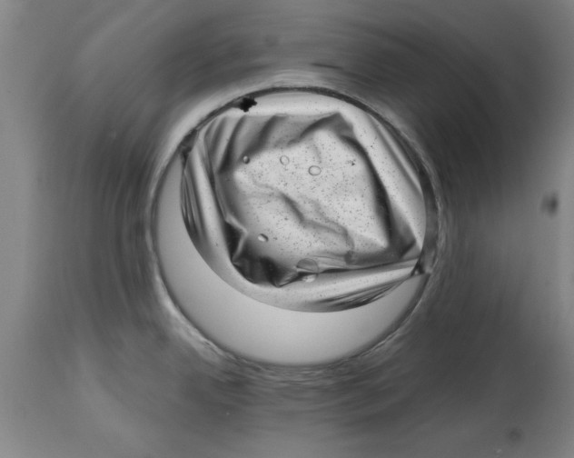 X0000114691342200911181245