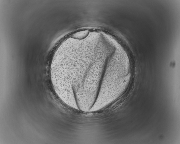 X0000114691352200911181244