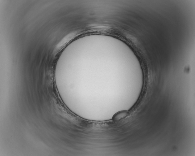 X0000114691354200911181244