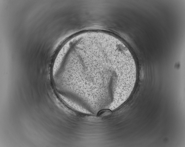 X0000114691356200911181244