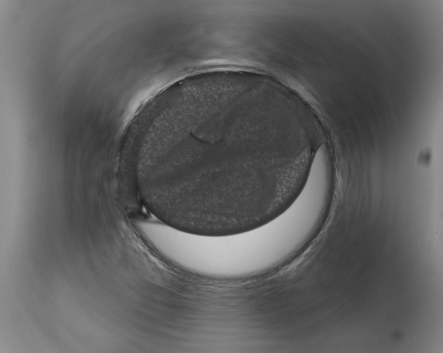 X0000114691357200911181244