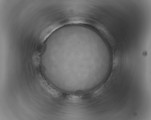 X0000114691361200911181244