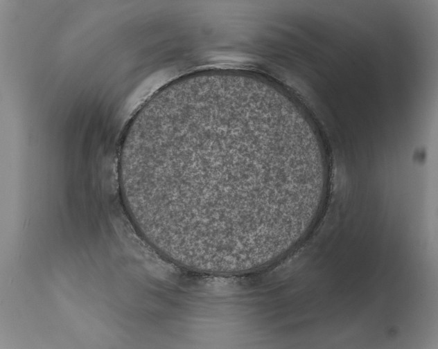 X0000114691362200911181244