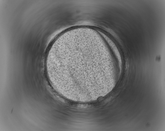 X0000114691364200911181244