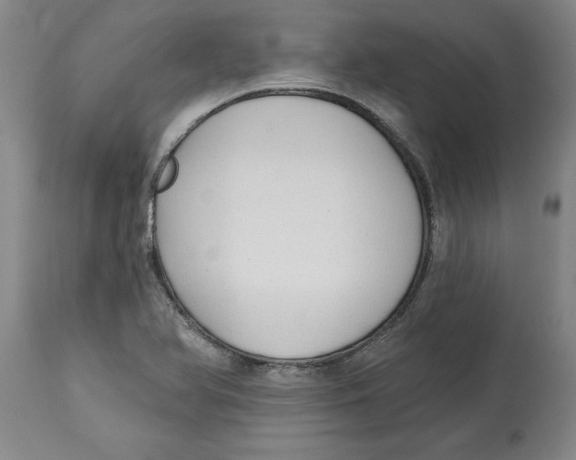 X0000114691366200911181244