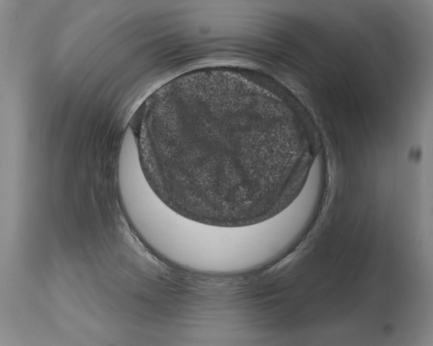 X0000114691369200911181244