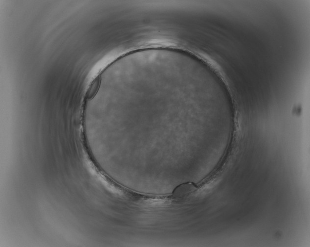 X0000114691373200911181244