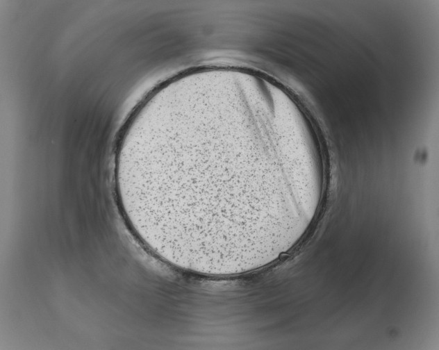 X0000114691376200911181244