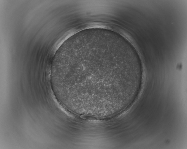 X0000114691377200911181243