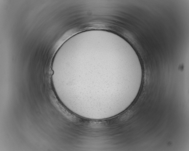 X0000114691378200911181243