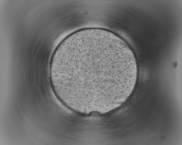 X0000114691380200911181243