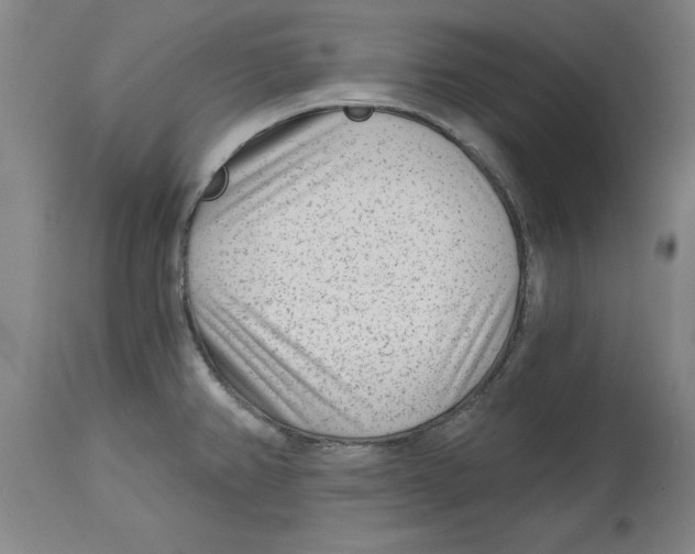 X0000114691382200911181243