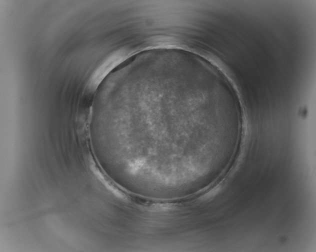 X0000114691385200911181243