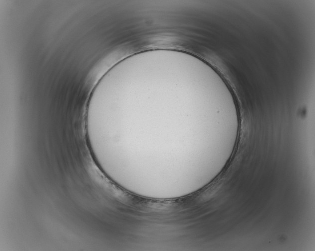 X0000114691386200911181243