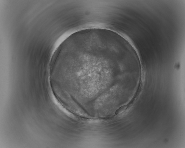 X0000114691389200911181243