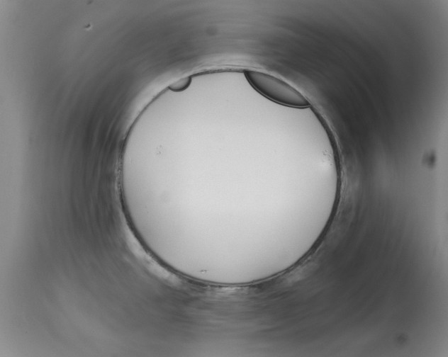 X0000114691390200911181243