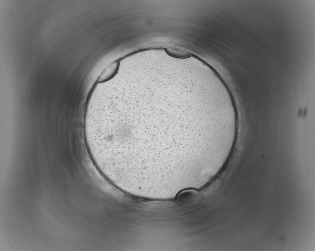 X0000114691392200911181243