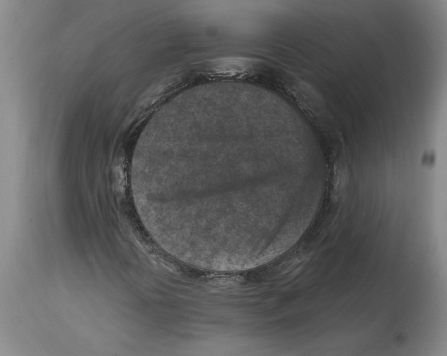 X0000114691394200911181243