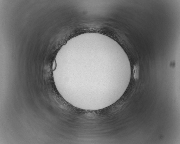 X0000114691395200911181243