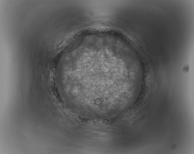 X0000114691397200911181243