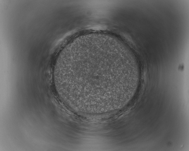 X0000114691398200911181243