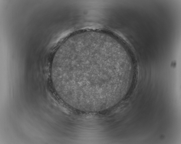 X0000114691399200911181243