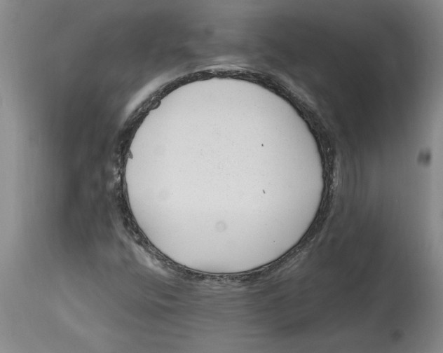 X0000114691400200911181243