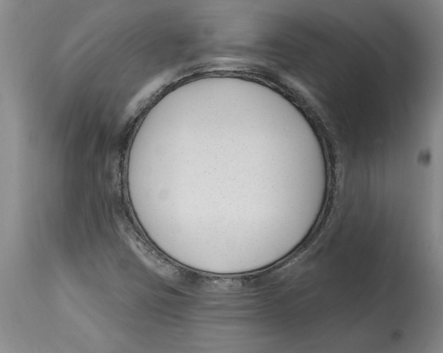 X0000114691403200911181243