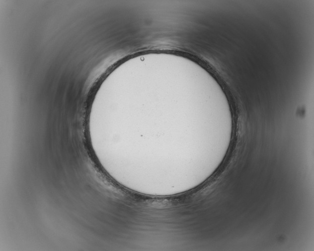 X0000114691410200911181243