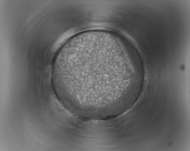 X0000114691411200911181243