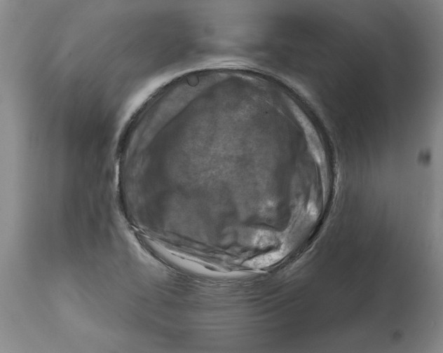 X0000114691414200911181243