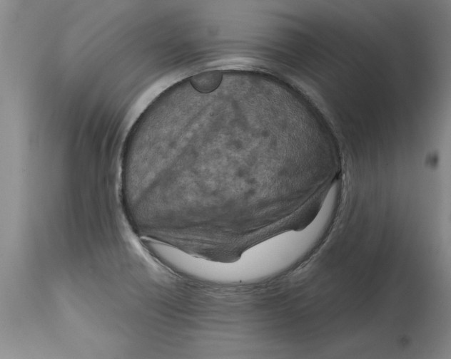 X0000114691418200911181243