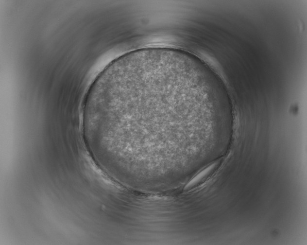 X0000114691419200911181243