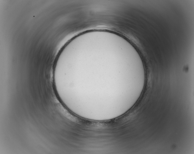 X0000114691420200911181243