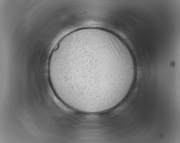 X0000114691421200911181243