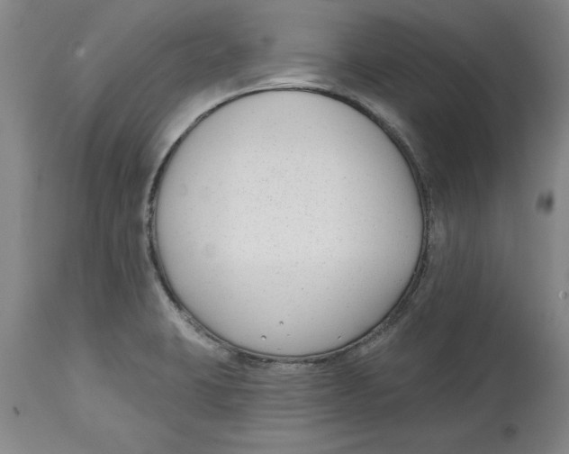 X0000114691423200911181243