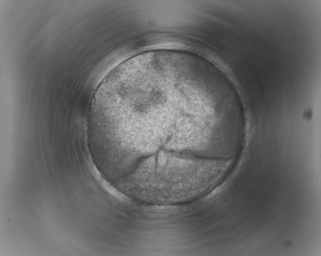 X0000114691425200911181243